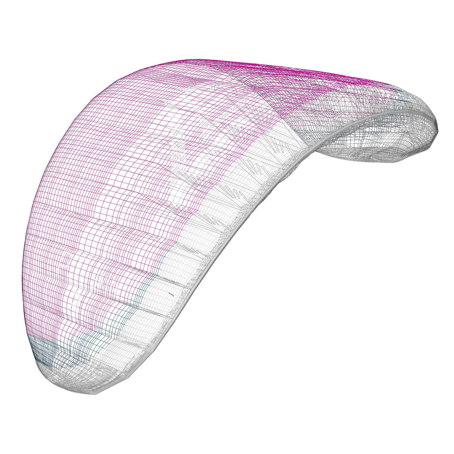 P.T. Skin – a parawing for everyone - FOILRIDERS SHOP