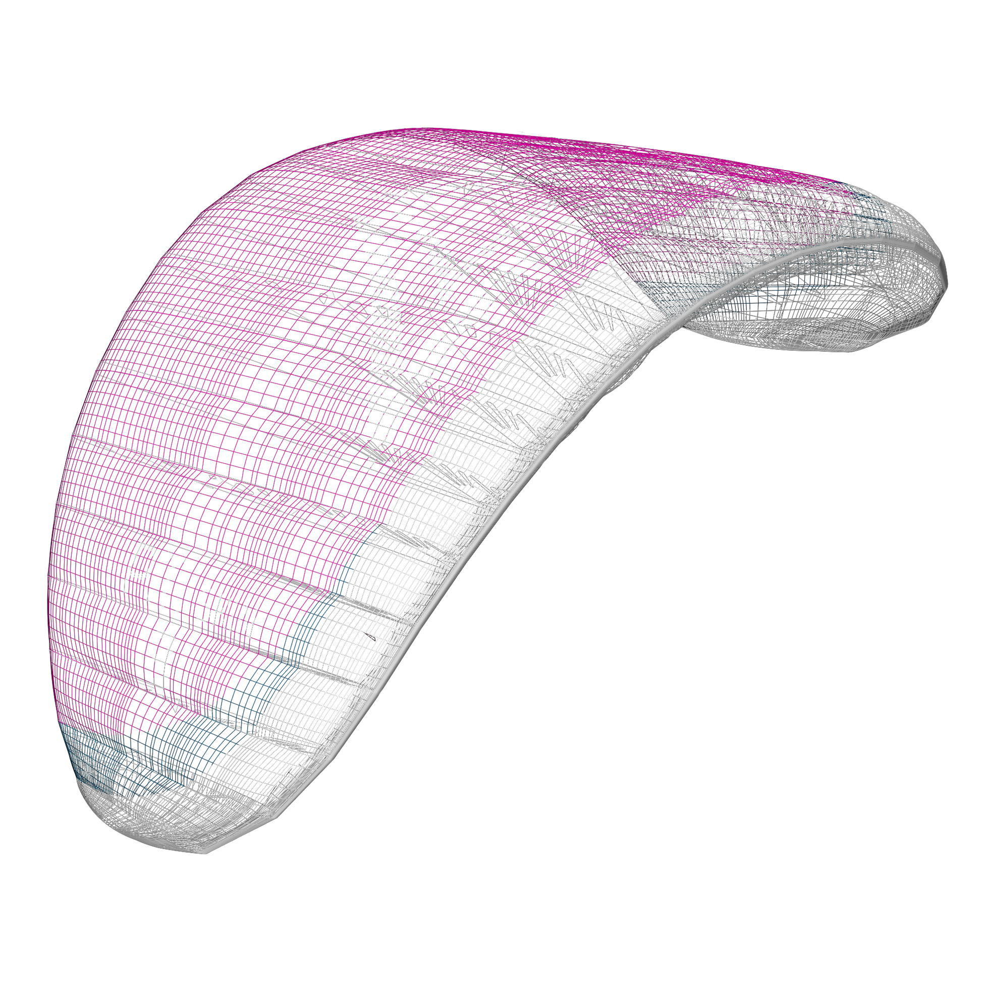 P.T. Skin – a parawing for everyone - FOILRIDERS SHOP